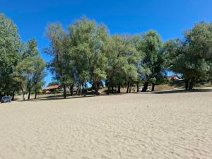 a large field with trees and a blue sky at Kitti Panzió in Tiszadada