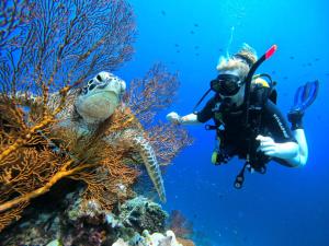a person in the ocean with a diver and a turtle at Badini Homestay Pemuteran Bali in Pemuteran