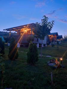 a house in a yard with lights on it at La Ograda - Cheile Turzii, near Turda in Sănduleşti