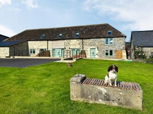 a dog sitting on a bench in front of a house at The Mill House Uk47418 in Curry Mallet