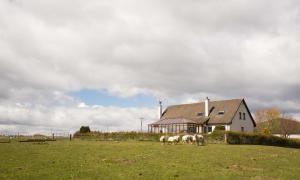 a group of sheep grazing in a field in front of a house at Leanach Farm in Inverness +21 photos