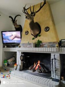 a fireplace with two deer heads above a fire place at Mi Descanso in Córdoba