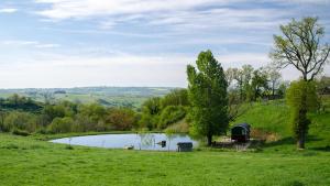 a small pond in the middle of a grassy field at Ecrin du Ségala - Roulotte insolite in Tauriac-de-Naucelle