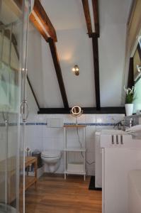 a bathroom with a toilet and a sink at Ferienhaus Chiemgauer Auszeit- Chiemgaukarte inclusive in Siegsdorf +39 photos