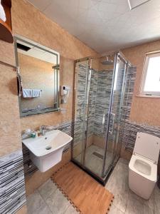 a bathroom with a sink and a shower and a toilet at 2RN SOLOMON Hotel and Spa 