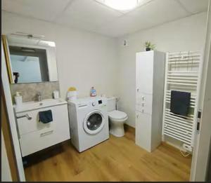 a bathroom with a washing machine and a toilet at Appartement Bois de doubs in Pontarlier