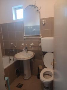 a bathroom with a toilet and a sink and a mirror at Tiha noc apartmani in Belgrade