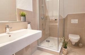 a bathroom with a shower and a sink and a toilet at Zur Schleikate in Boren