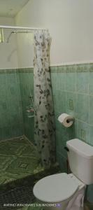 a bathroom with a shower with a toilet in it at Hotel Playa Santa Martha in Rivas +67 photos