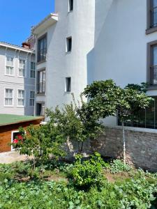 a garden in front of a building at Hotel Lina Oldcity in Istanbul