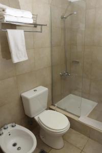 a bathroom with a toilet and a shower and a sink at Rosario Temporal in Rosario