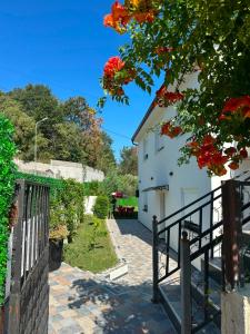 a stairway leading up to a white building with red flowers at Lexhulo Room's in Domje
