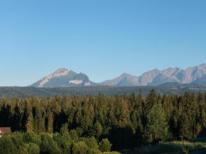 a view of a forest with mountains in the background at U Stenia in Murzasichle
