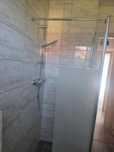 a shower with a glass door in a bathroom at Apartament Stokrotka in Olszyny