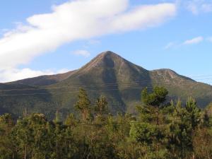 a mountain in the distance with trees in the foreground at Moss & Moon Cabins in Stormsrivier +68 photos