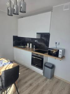 a small kitchen with a sink and a microwave at Apartament Stokrotka in Olszyny +11 photos
