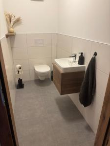 a bathroom with a sink and a toilet at Alpenoase Ennstal in Ennsling
