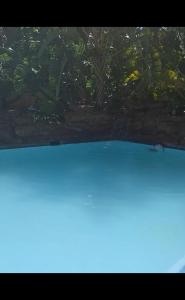 a pool of blue water with plants in the background at Serene Pastures in Midrand +7 photos