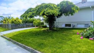 a tree in a yard next to a house at Sunny Crest Burnaby-cozy one bedroom private suite in Burnaby