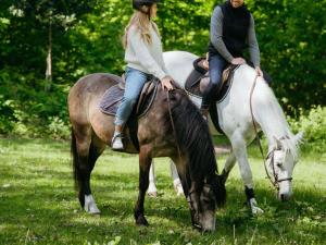 two people riding on horses in a field at Hotel Novotel Domaine de Maffliers - Paris Val-d'Oise in Maffliers