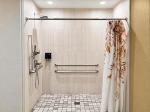 a shower with a shower curtain in a bathroom at Crystal Inn Downtown in Houston