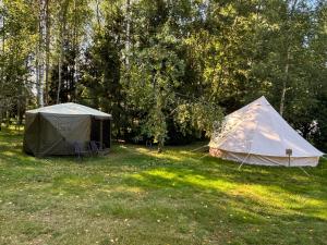 two tents in a field with trees in the background at Lahemaa Nature Glamping - Kuma in Vihasoo
