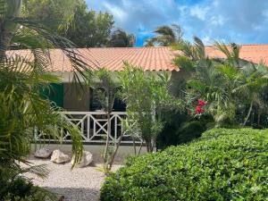 a house with a white fence and some plants at Blue Marlin Apartments, nabij Mambo Beach in Willemstad