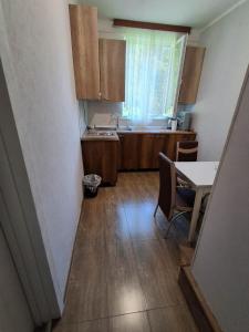 a small kitchen with a table and a table and chairs at Guesthouse Riverside Bagiana in Roshka +9 photos