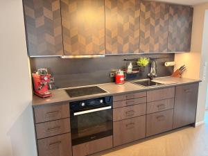 a kitchen with a stove and a sink at JUPAS - Premium Apartments Trier in Trier