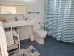 a bathroom with a toilet and a sink and a shower curtain at Ohope Beach Motel in Ohope Beach