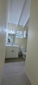 a bathroom with a sink and a toilet at Valley Nest 758 in Castries +10 photos