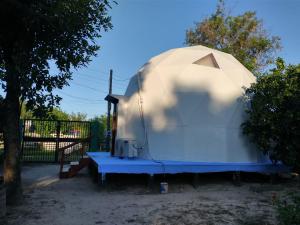 a dome tent sitting in a yard next to a tree at Domo Premium in Esquina +2 photos