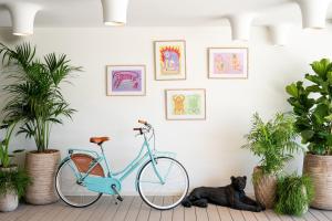 a dog laying next to a bike in a room with plants at INNSiDE by Meliá Wave Calviá in Magaluf