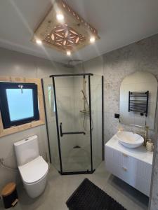 a bathroom with a shower and a toilet and a sink at Domki góralskie Cisza Leśna in Czerwienne +42 photos