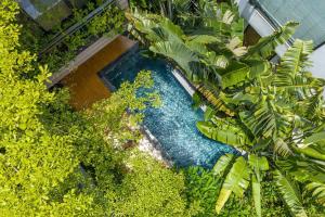 an overhead view of a swimming pool surrounded by plants at Luxury Mountain View 3BR Villa Pool 10ppl in Phúc Yên