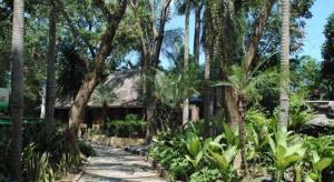 a building with a bunch of palm trees and a sidewalk at DJ Paradise Hotel in Tikay