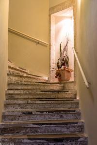 a set of stairs with a potted plant on them at Albergo-Toscana in Bad Schandau