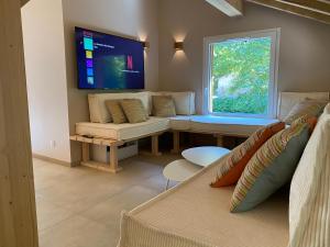 a living room with a couch and a tv at Chalet des Épicéas - babyfoot billard & PS in Gérardmer
