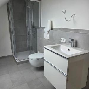 a bathroom with a toilet and a sink and a shower at schöne Neubau Ferienwohnung "Wiesent" mit Küche und Balkon in Forchheim