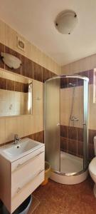 a bathroom with a shower and a sink and a toilet at Międzywodami Jastarnia in Jastarnia +77 photos