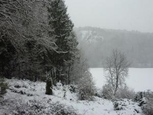 a snow covered field with a lake and trees at Gorgeous Apartment in Bohon with Garden Furniture and BBQ in Barvaux