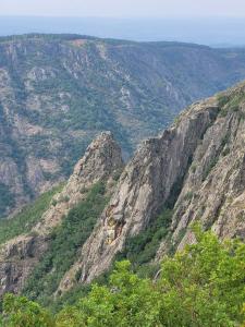 a view of a mountain with trees on it at El renacer de Flor - Casa turística in Chandreja