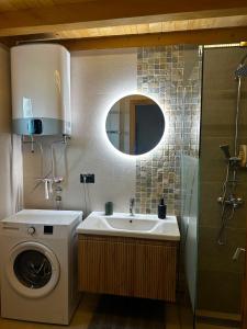 a bathroom with a washing machine and a sink at Montana Goc in Goč +12 photos