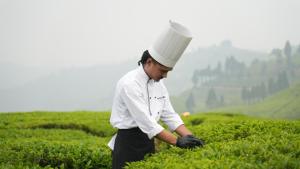 a man in a chefs hat standing in a field at Kanyam Brichyalaya in Suryodaya +2 photos