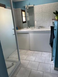 a bathroom with a shower and a sink and a mirror at Chez Fayolle in Montagnac-la-Crempse