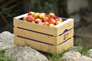 a wooden crate of apples sitting on some rocks at Weingut Santer Apartments in Mühlbach