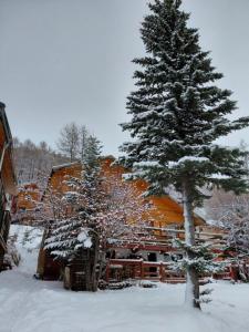 a large pine tree in front of a log cabin at La Tapia in La Foux d'Allos