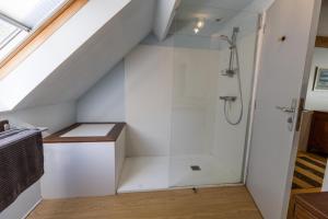 a bathroom with a shower under the stairs at Gîte le tuc d'esparre in Orist +35 photos