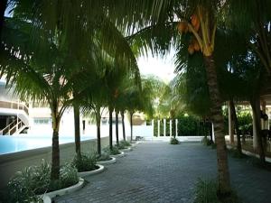 a row of palm trees next to a swimming pool at Splash Oasis Resort & Hotel in Forestry