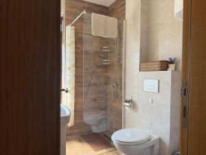 a bathroom with a toilet and a glass shower at APARTMaN HAPPY PLACE in Soko Banja +6 photos